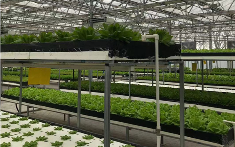 麻将胡了2(中国游)官方网站 - IOS/安卓通用版/手机APP下载